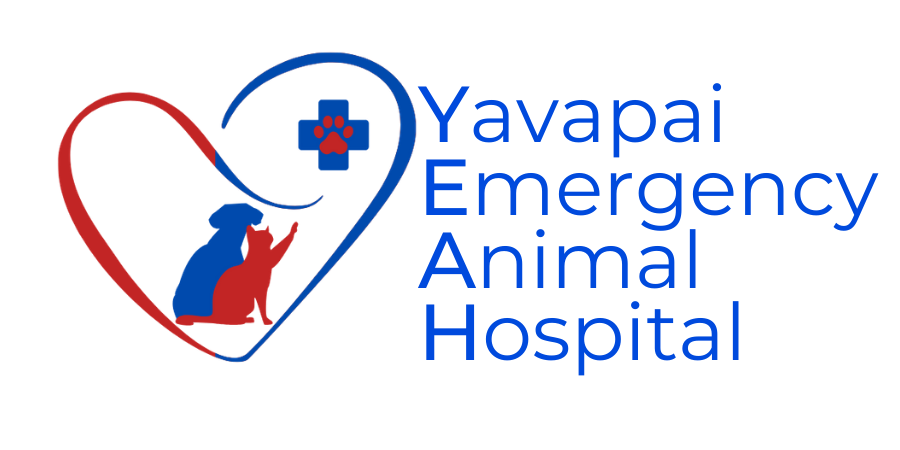 Yavapai Emergency Animal Hospital 
